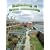Building a Green Community (Energy Revolution)