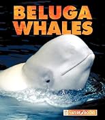 Beluga Whales (Naturebooks)
