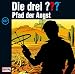 Musik : Die drei Fragezeichen - Folge 137: Pfad der Angst