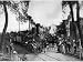 The Belgian Army is Forced to Evacuate Antwerp Overwhelmed by the German Advance Phot...