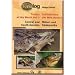 TERRALOG: Turtles of the World: Central and South America, Vol. 3 (English and German Edition)