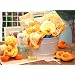 Bath Time Baby Gift Basket -Medium