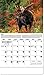 North American Wildlife 2016 Wall Calendar- 18.5