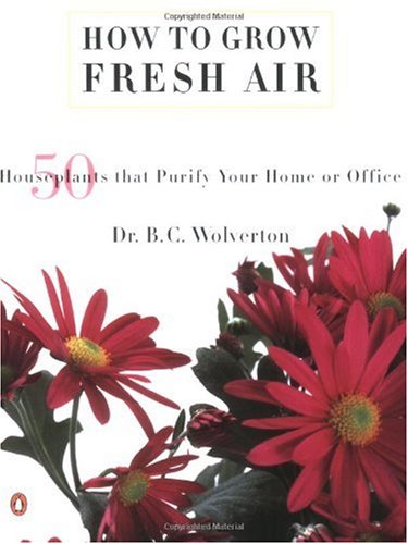 how common houseplants can common house plants. how common houseplants can