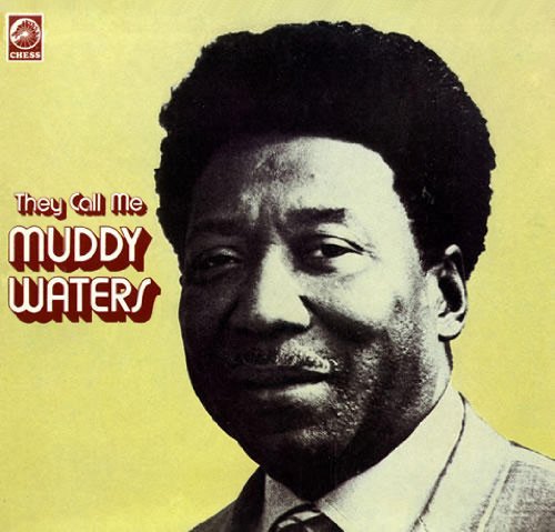 Album Art for They Call Me Muddy Waters by Muddy Waters