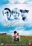 Wildflower ( Wild flower ) [ NON-USA FORMAT, PAL, Reg.2 Import - Netherlands ]
