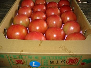 頑張ろう熊本!熊本県産 トマト Lサイズ 約4kg入り 20玉詰め