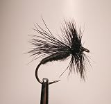 Adult Black Caddis Fly - Size 8 - Fishing Fly