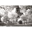 (24x36) Afternoon in Paris (Eiffel Tower, B/W) Art Poster Print