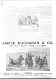 JAMES BUCHANNAN CO SCOTCH WHISKY 3 SCOTTIE DOGS 1903