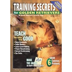Training Secrets for Golden Retrievers