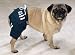 X-LARGE - Dog Sport Trunks