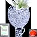 Crystal Soil Water Beads - CLEAR Wedding Centerpieces Makes About 12 Gallons (1 Pound Bag) + 1 Crystal Soil Rose