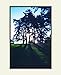 Kodachrome Notes: 20 Different Notecards and Envelopes