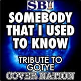 Somebody That I Used To Know (Tribute To Gotye Feat Kimbra) Performed By Cover Nation