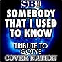Somebody That I Used To Know (Tribute To Gotye Fea&hellip <a href="http://www.amazon.de/Somebody-Tribute-Kimbra-Performed-Nation/dp/artist-redirect/B005IWC4E0">Cover Nation</a><span class="byLinePipe"> | </span><span class="byLinePipe">Format:</span> MP3-Download