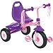 Radio Flyer Little Miss Flyer Fold 2 Go Trike