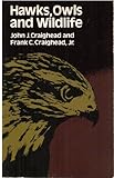 Hawks, owls and wildlife