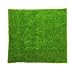 Micro Landscape Ornament Turf Faux Lawn Miniature Garden Decor 30cmx30cm RS.295.00