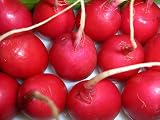 Crimson Giant Radish 600 Seeds - BONUS PACK ! - B001KU9LXG
