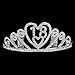 Qixuan Novelties Rhinestone Encrusted 18th Happy Birthday Tiara