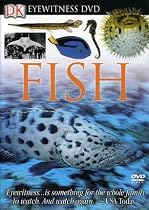 Stream Eyewitness: Fish Online.