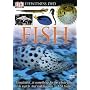 Eyewitness: Fish