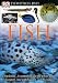Eyewitness: Fish