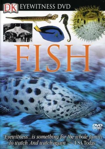 Eyewitness: Fish