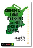 Biofuels, Land Grabbing and Food Security in Africa (Africa Now)