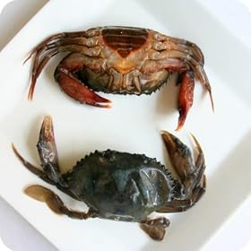 Dressed Chesapeake Soft Shell Crab - 4"-4.5" - Hotels - Frozen - 8 Dozen Per Case