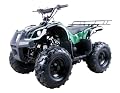 125cc Four Wheelers 8