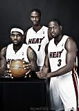 Lebron James, Dwayne Wade, and Chris Bosh Miami Heat Big Three 8x10 Photo