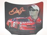 Sporting Goods : DALE EARNHARDT JR. #8 NASCAR 9" x 8" Hood-Shaped Computer MOUSEPAD