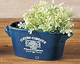 ガーデニングお花入れ 丸和貿易 ヴェリオジャルダン オーバルポット パリス 400635102