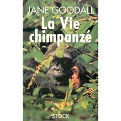 La vie chimpanz�