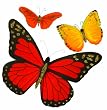 Martha Stewart Crafts Stickers, Red and Orange Butterfly