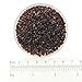Miyuki Round Seed Beads Size 8/0 22g Garnet Red AB