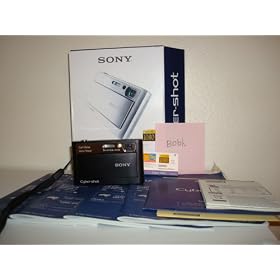 Sony Cybershot DSCT20 8MP Digital Camera with 3x Optical Zoom and Super Steady Shot (Silver)