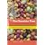 The Chocolate Tree: A Natural History of Cacao, Revised and Expanded Edition