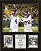 NFL Adrian Peterson-Brett Favre Minnesota Vikings Player Plaque