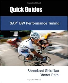 sap bw professional pdf