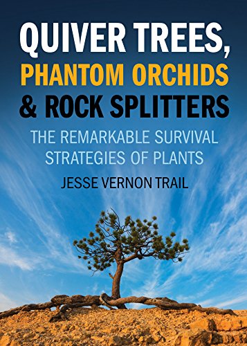 Quiver Trees, Phantom Orchids and Rock Splitters