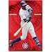 Chicago Cubs (Alfonso Soriano at Bat) Sports Poster Print - 22x34