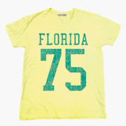 カレッジ Ｔシャツ 古着にありそうで無かったカラーリング 75