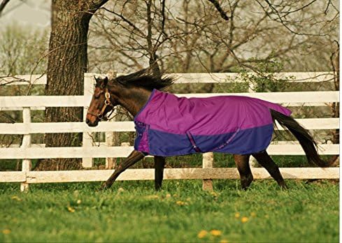 Turnout 1680D Horse Winter Waterproof - Horse Blanket 004 - Size from 69" to 83" (78")