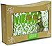 キートスフィンランドギフト ヘイフラワー  入浴品+ハンドクリーム+バスピロー