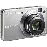 Sony Cybershot DSCW170 10.1MP Digital Camera with 5x Optical Zoom with Super Steady Shot (Silver)