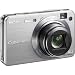 Sony Cybershot DSCW170 10.1MP Digital Camera with 5x Optical Zoom with Super Steady Shot (Silver)