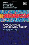 Law, business and human rights : bridging the gap